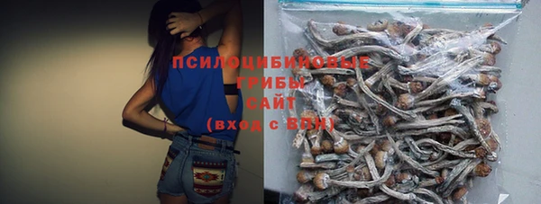 МДПВ Богородск