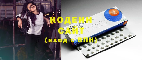 дмт Богданович
