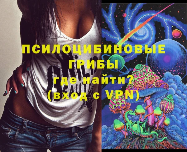 дмт Богданович