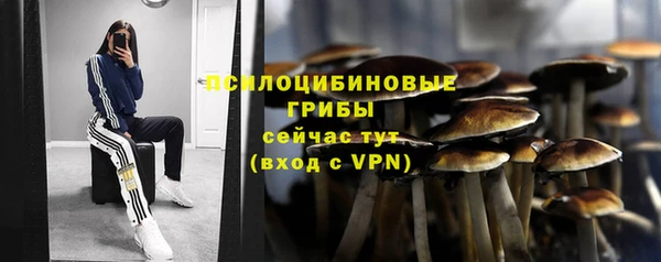 МДПВ Богородск