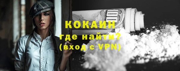 дмт Богданович