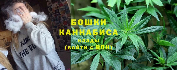 соль ск Богородицк