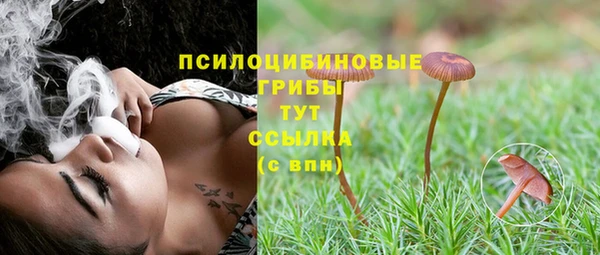 МДПВ Богородск
