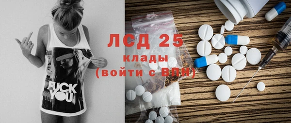 дмт Богданович
