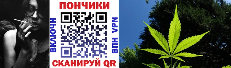 купить наркотики сайты  Гусев  Конопля сатива 